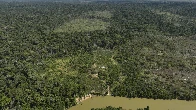 Judge in Brazil orders slaughterhouses to pay for Amazon reforestation