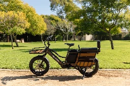 I spent a summer with the Pedego Cargo e-bike. Here's what I loved and loathed.