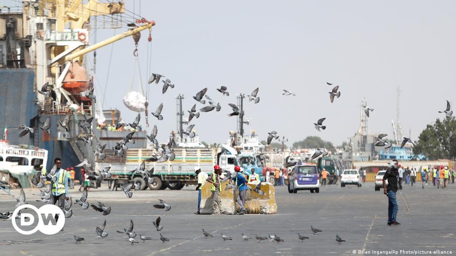 Horn of Africa: A conflict evolving around Berbera Port – DW – 01/04/2024