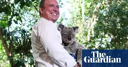 Should cuddling koalas be legal? Here’s why there’s a push to ban it in Queensland