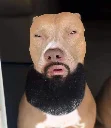Nameunknown12