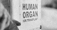 Houston hospital halts liver and kidney transplants after learning a doctor manipulated records