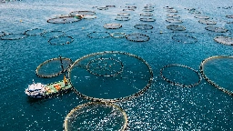 The world is farming more seafood than it catches. Is that a good thing?