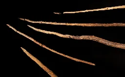 300,000 Years Ago, Humanity Knew Craftsmanship: “Extraordinary” Schöningen Spears Unveil Early Human Ingenuity