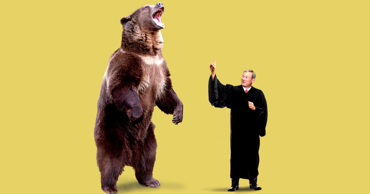 Bears, fish, and wolves’ new predator: the Supreme Court?