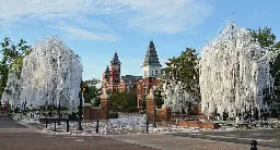 Auburn University announces two more trees on Toomer's corner can be rolled