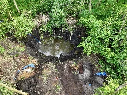 Archaeologists search crash site of WWII B-17 for lost pilot