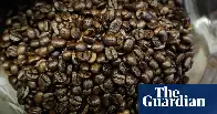 Coffee, eggs and white rice linked to higher levels of PFAS in human body