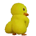 duckass