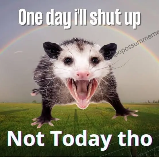 an image of an opossum, &quot;I captioned one day I&#39;ll shut up. Not today though.&quot; By the way, sorry if this is bad etiquette for accessibility use, but could you let me know if I can provide any help as someone with some JavaScript programming experience. I promise to not be intentionally cognitively quagmired.