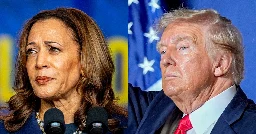 Mixed-race voters say Donald Trump’s attacks on Kamala Harris’ race are painfully familiar