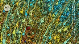 Cubic millimetre of brain mapped in spectacular detail