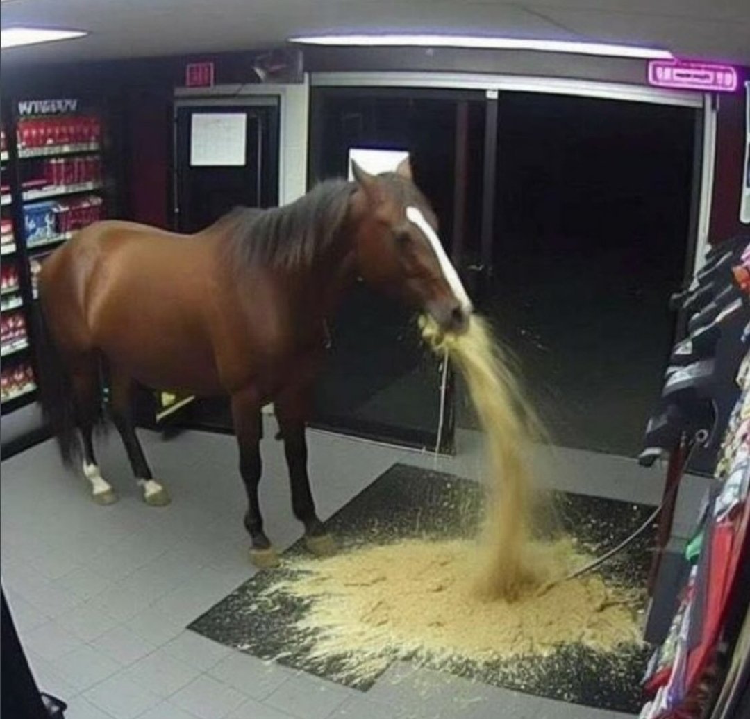 a grainy AI image of a horse puking in Walmart or some shit