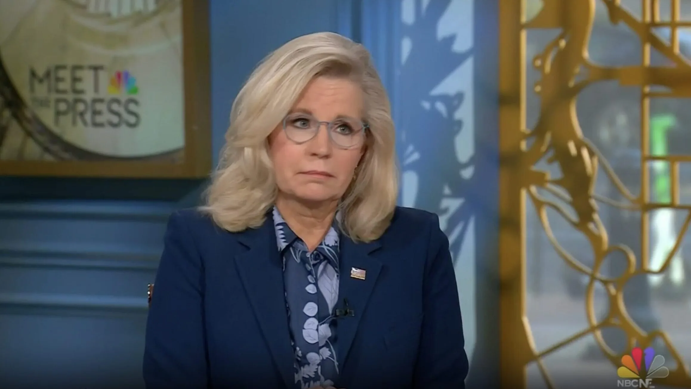 Liz Cheney Slams Speaker Mike Johnson On NBC Meet the Press