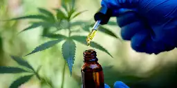 Taking medicinal cannabis oil for insomnia does not impair cognition on the following day