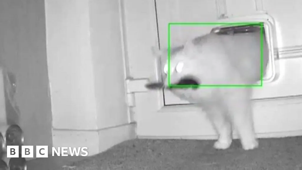 Flintshire cat burglar caught red handed after crime spree