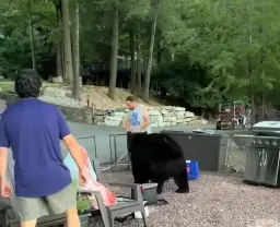 Guy politely asks the bear to leave the garden by the door.
