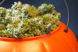 Ghostly Ganja: Twelve Weed Strains for Halloween Lovers