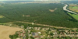 Auf Konversionsfläche in Brandenburg: Kahlschlag für Sonnenenergie