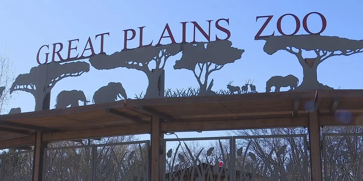 Great Plains Zoo working to conserve black-footed ferrets