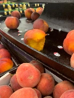 Bites the peach and just leaves it there.