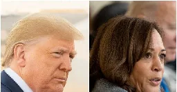 Donald Trump's Anti-Kamala Harris Ad Blitz Kicks Off: 'Dangerously Liberal'