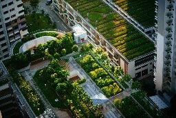 Modeling shows green roofs can cool cities and save energy