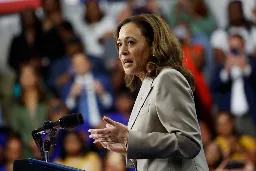 Our Verdict on Kamala Harris’s New Plans