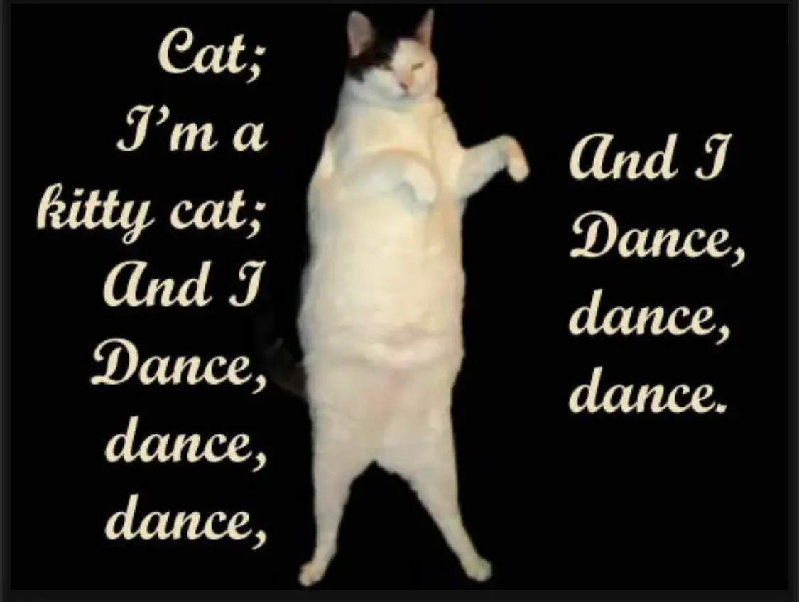 cat dancing meme