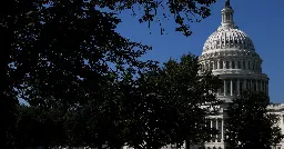 US government shutdown: what does it mean?