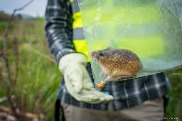 USFWS Is Creating a Frozen Library of Biodiversity to Help Endangered Species - Inside Climate News