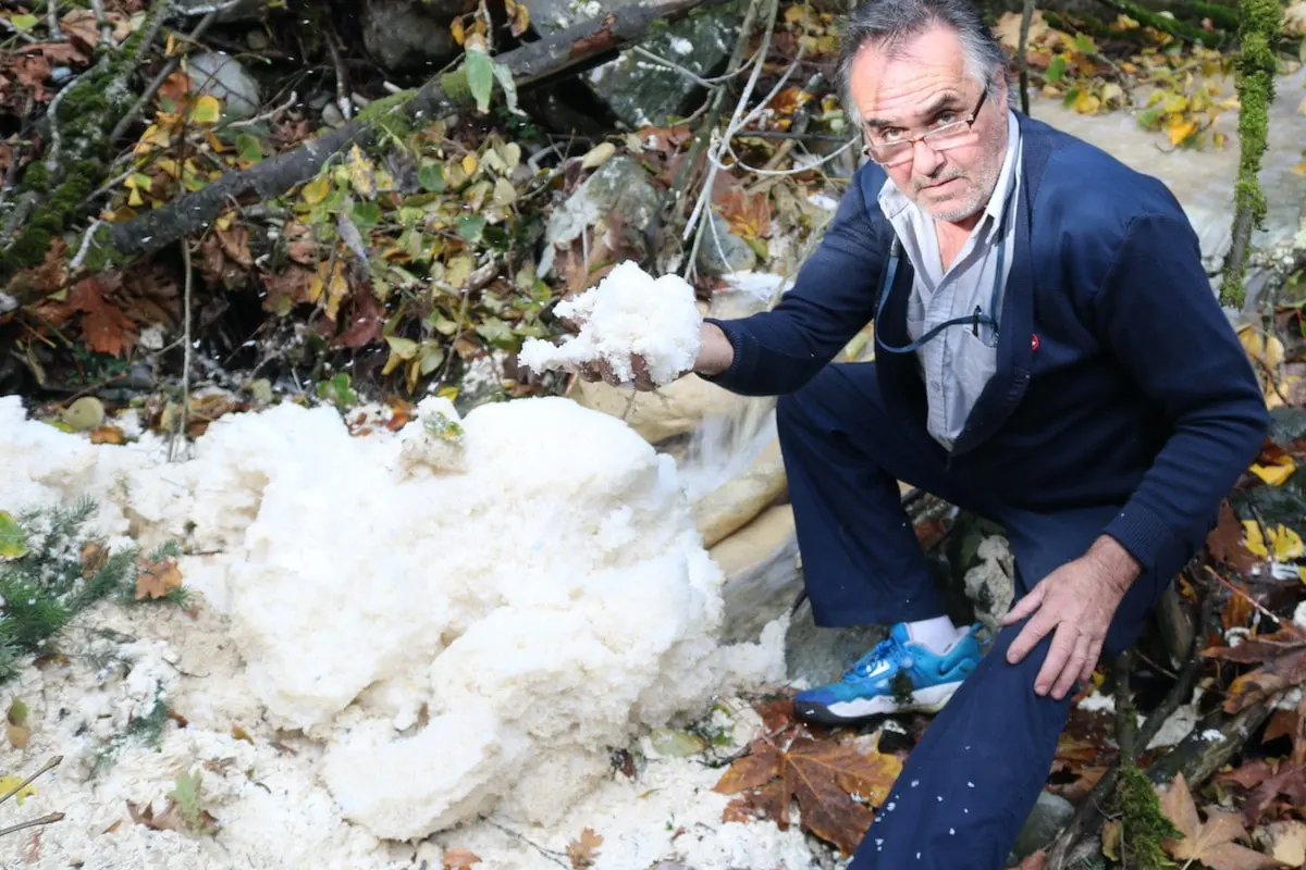 Langford locals demand action as 'toxic bubble bath' pollutes beloved lake