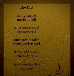 The Dirt