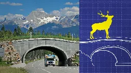 Wildlife crossings stop roadkill. Why aren’t there more?