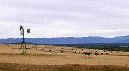 There are two million hectares of state farmland sitting idle, just waiting for black owners