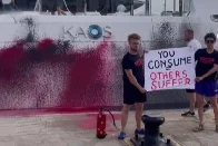 Environmental protesters vandalize superyacht of Walmart heir Nancy Walton Laurie