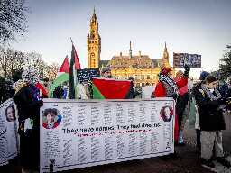 ‘Chilling’ evidence: ICJ hears South Africa’s genocide case against Israel