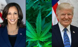 Harris Vs. Trump On Marijuana: Where The Presidential Candidates Stand As Voters Head To The Polls - Marijuana Moment