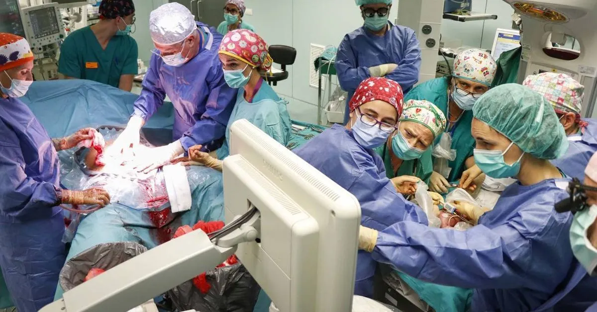 Hito en cirugía neonatal: intervienen con éxito un tumor en una bebé antes de nacer