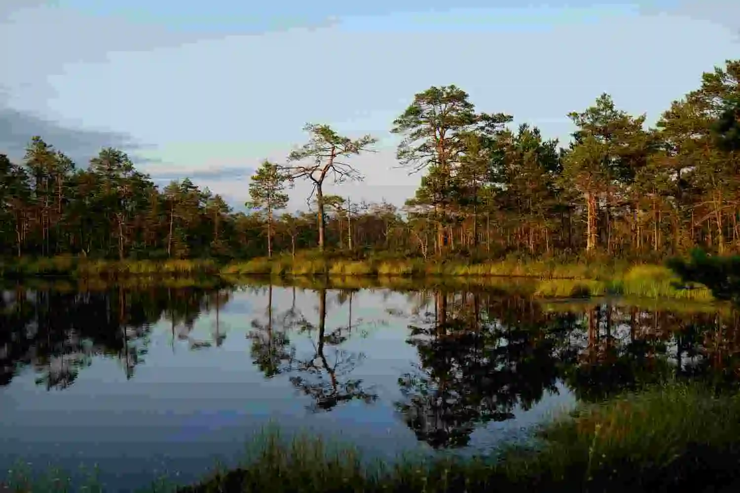 Father and Son Tragically Drown in Lake Anna in Virginia | The Narinder