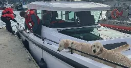 WA ferry crew, Coast Guard rescue 6 people, 2 dogs in Rosario Strait