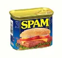 Spam