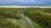 Climate change is making our oceans change color, new research finds | CNN