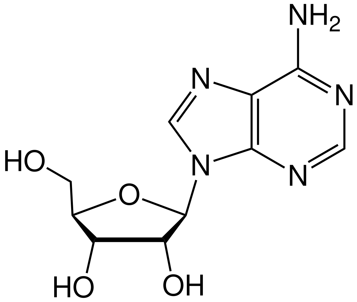 Adenosine - Wikipedia