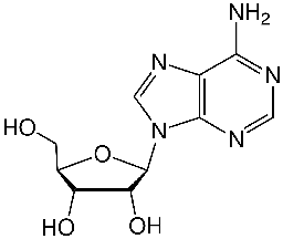 Adenosine - Wikipedia