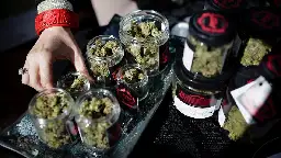 A hit like Coca-Cola: The cannabis industry generates $40 billion