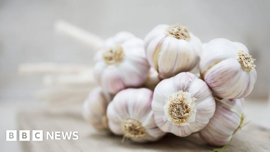 Chinese garlic is a national security risk, says US senator