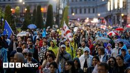Georgia: Thousands rally in protest at 'foreign influence' bill