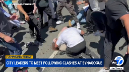 Pro-Palestinian protest erupts in clashes in front of Pico-Robertson synagogue