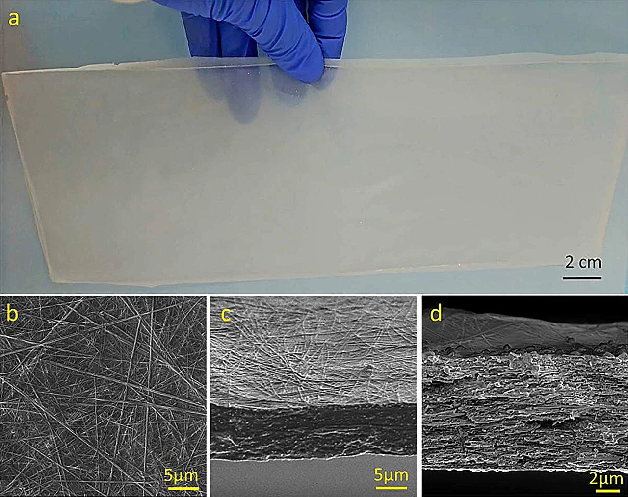 Composite plastic degrades easily with bacteria, offers environmental benefits